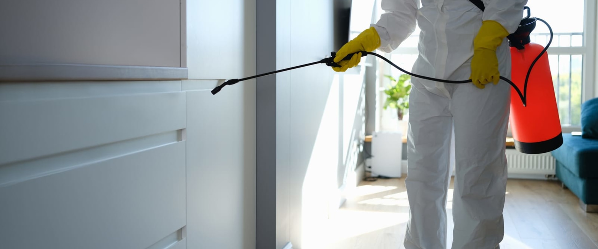 Why You Should Hire Rodent Exterminators For Rat Pest Control Services During Manufactured Home Construction In Las Vegas, NV?