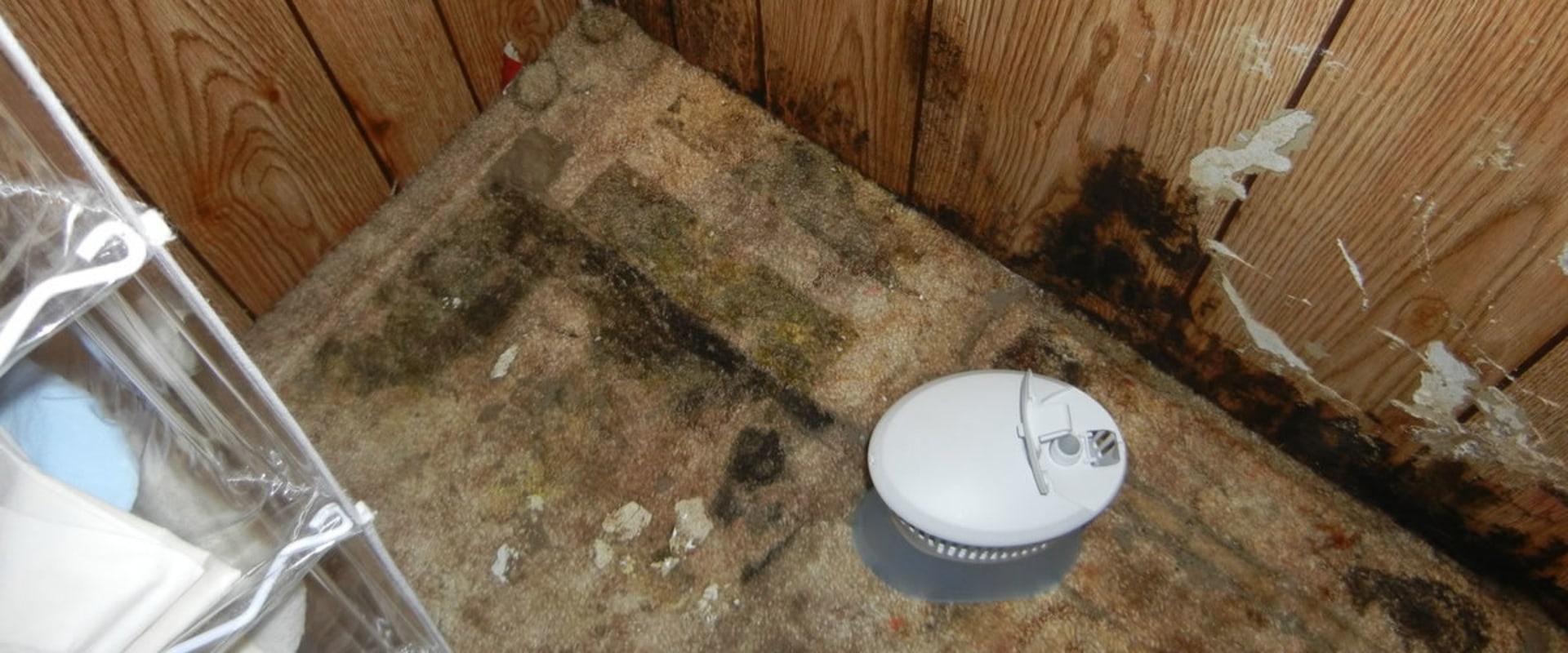From Musty Smells To Serious Damage: Mold Remediation For Manufactured Homes In Will County