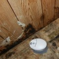 From Musty Smells To Serious Damage: Mold Remediation For Manufactured Homes In Will County