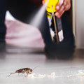 Protecting Your Goose Creek Manufactured Home: The Importance Of Hiring A Pest Exterminator