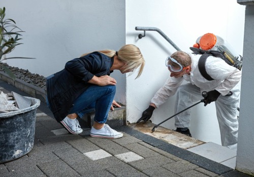 Ensuring Quality: The Role Of Mold Remediation Service In Seattle Manufactured Home Construction
