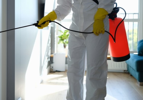 Why You Should Hire Rodent Exterminators For Rat Pest Control Services During Manufactured Home Construction In Las Vegas, NV?