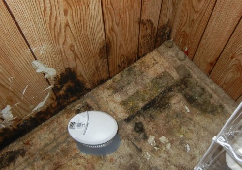 From Musty Smells To Serious Damage: Mold Remediation For Manufactured Homes In Will County